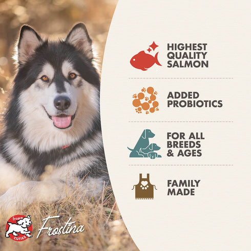 Fromm Four-Star Dry Dog Food - Salmon Tunalini - 4lb Bag